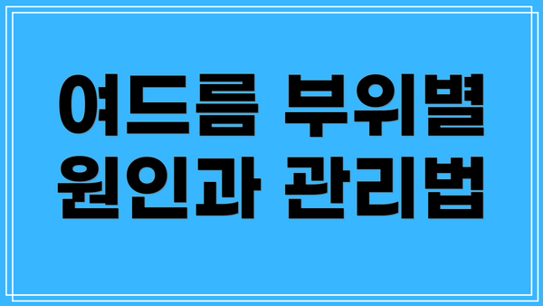 여드름 부위별 원인과 관리법