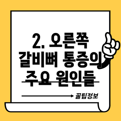 2. 오른쪽 갈비뼈 통증의 주요 원인들
