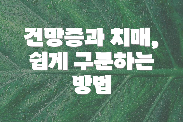 건망증과 치매, 쉽게 구분하는 방법