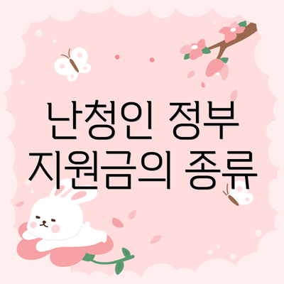 난청인 정부 지원금의 종류