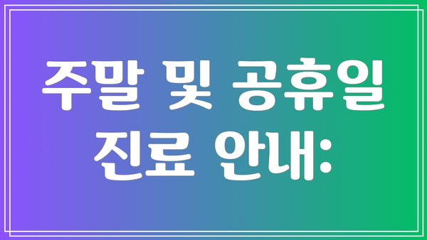 주말 및 공휴일 진료 안내: