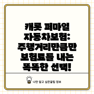 캐롯 퍼마일 자동차보험: 주행거리만큼만 보험료를 내는 똑똑한 선택!