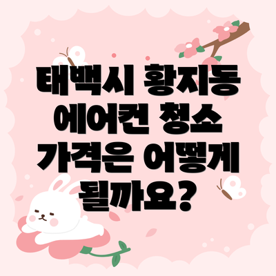 태백시 황지동 에어컨 청소 업체 추천 및 후기