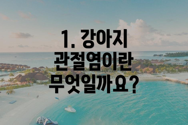 1. 강아지 관절염이란 무엇일까요?