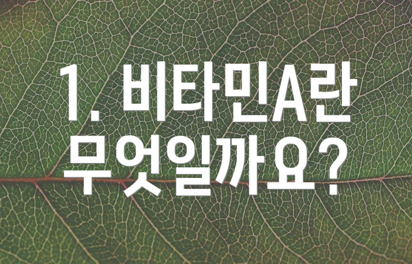 1. 비타민A란 무엇일까요?