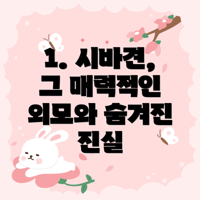 1. 시바견, 그 매력적인 외모와 숨겨진 진실