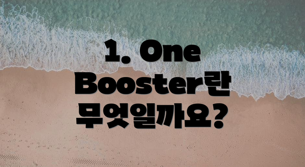 1. One Booster란 무엇일까요?