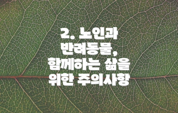2. 노인과 반려동물,  함께하는 삶을 위한 주의사항
