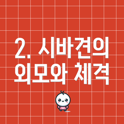 2. 시바견의 외모와 체격