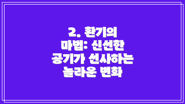 2. 환기의 마법: 신선한 공기가 선사하는 놀라운 변화