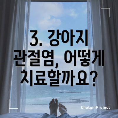 3. 강아지 관절염, 어떻게 치료할까요?