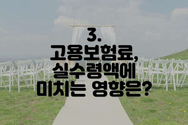 3. 고용보험료, 실수령액에 미치는 영향은?
