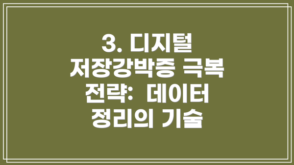 3. 디지털 저장강박증 극복 전략:  데이터 정리의 기술