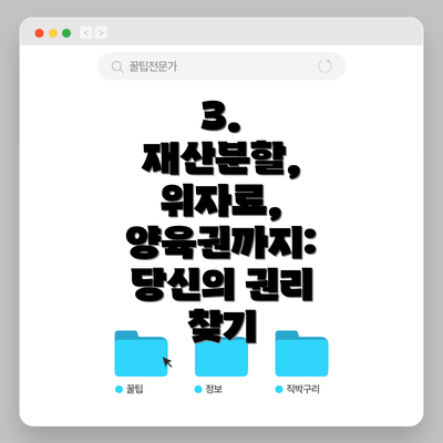 3.  재산분할, 위자료, 양육권까지: 당신의 권리 찾기