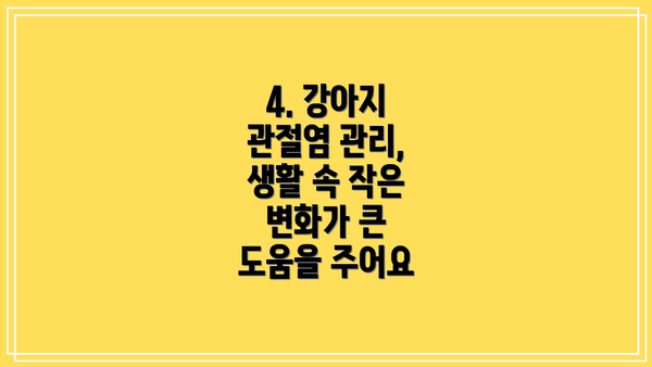4. 강아지 관절염 관리, 생활 속 작은 변화가 큰 도움을 주어요