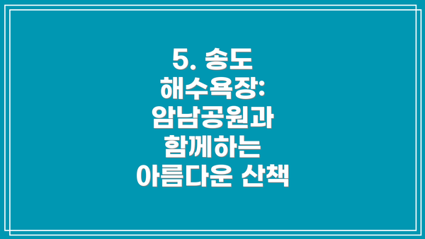 5. 송도 해수욕장: 암남공원과 함께하는 아름다운 산책