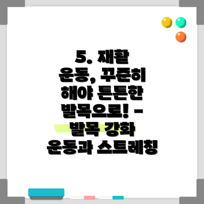 5. 재활 운동, 꾸준히 해야 튼튼한 발목으로! - 발목 강화 운동과 스트레칭