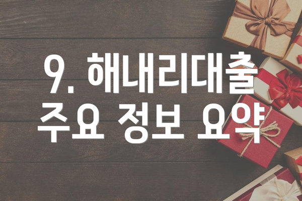 9. 해내리대출 주요 정보 요약