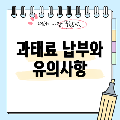 과태료 납부와 유의사항