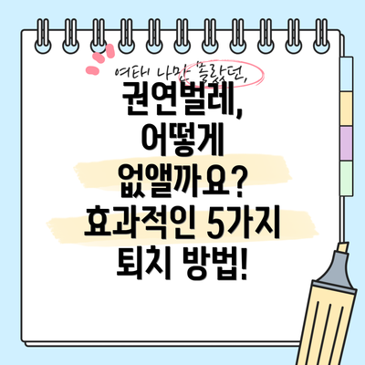 권연벌레, 어떻게 없앨까요? 효과적인 5가지 퇴치 방법!