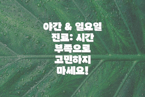 야간 & 일요일 진료: 시간 부족으로 고민하지 마세요!