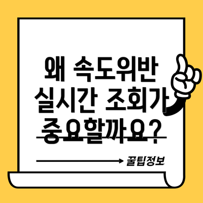 왜 속도위반 실시간 조회가 중요할까요?