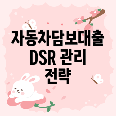 자동차담보대출 DSR 관리 전략