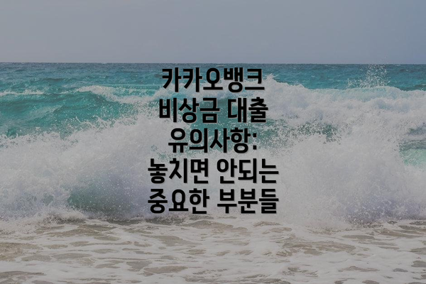 카카오뱅크 비상금 대출 유의사항:  놓치면 안되는 중요한 부분들