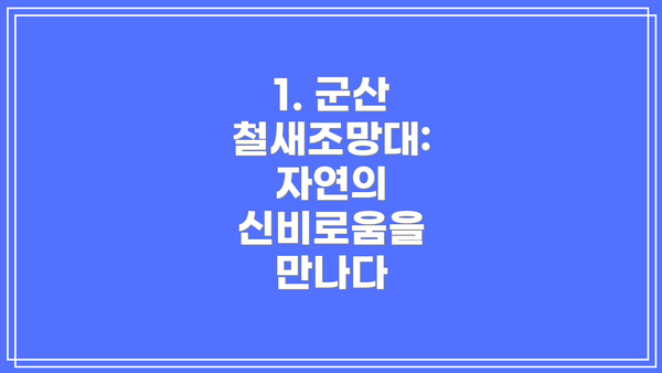 1. 군산 철새조망대: 자연의 신비로움을 만나다