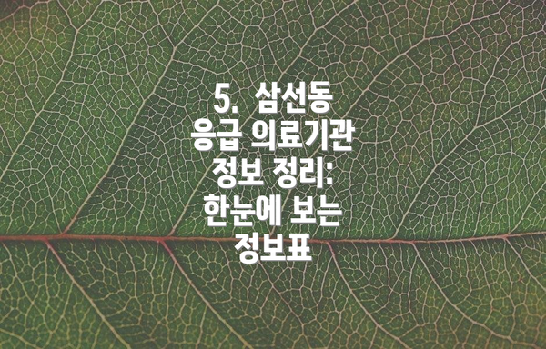5.  삼선동 응급 의료기관 정보 정리: 한눈에 보는 정보표