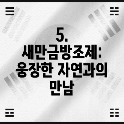 5. 새만금방조제: 웅장한 자연과의 만남