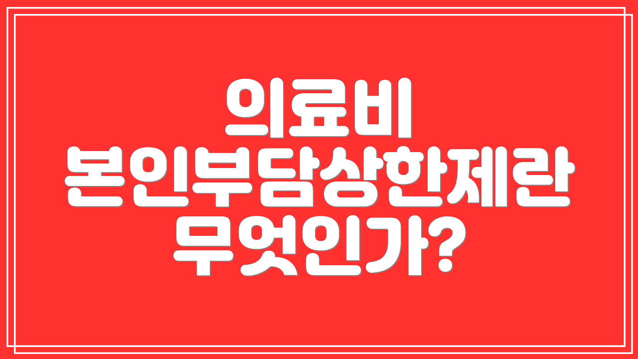 의료비 본인부담상한제란 무엇인가?