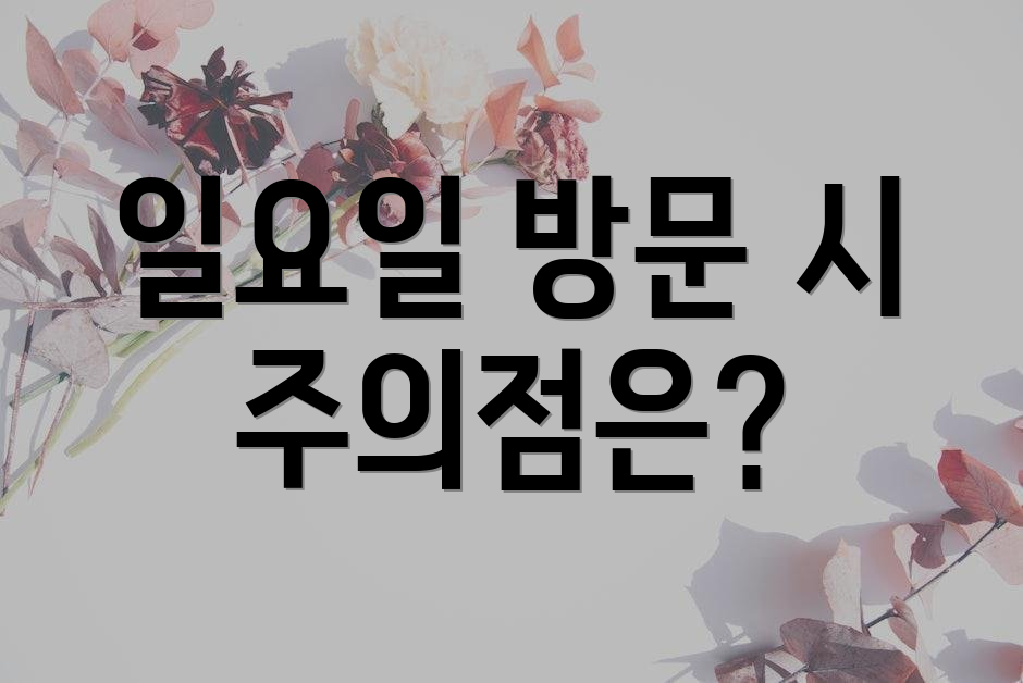 일요일 방문 시 주의점은?
