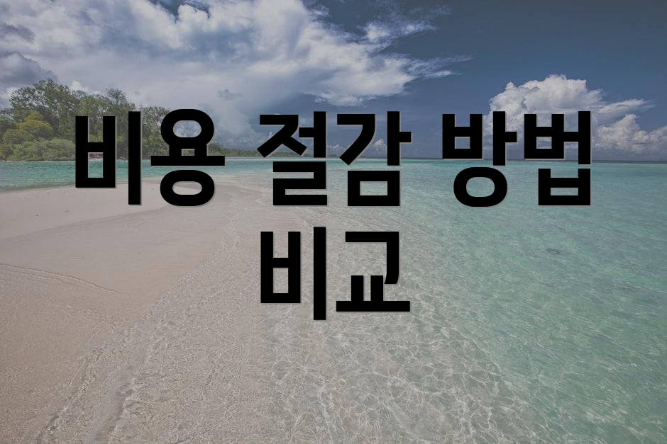 비용 절감 방법 비교