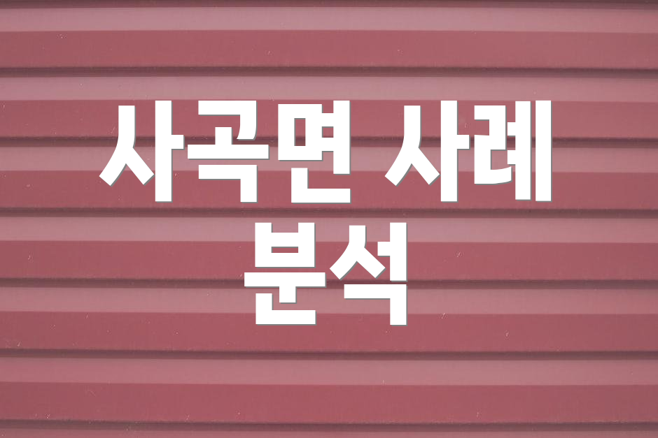 사곡면 사례 분석
