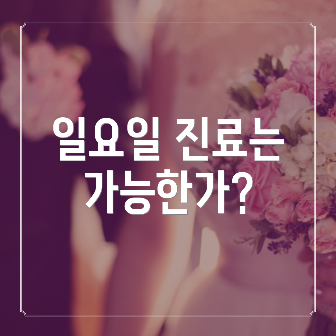 일요일 진료는 가능한가?
