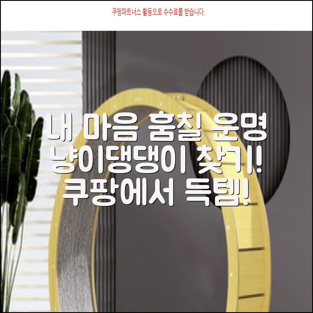 반려동물, 어떤 아이가 당신의 마음을 사로잡을까요?