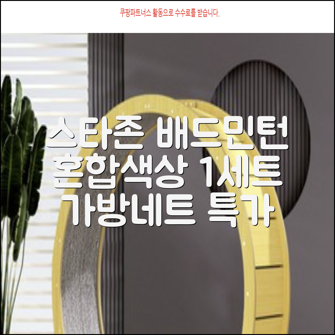 스타존 배드민턴 그물 네트 + 가방, 혼합색상, 1세트 추천 리뷰