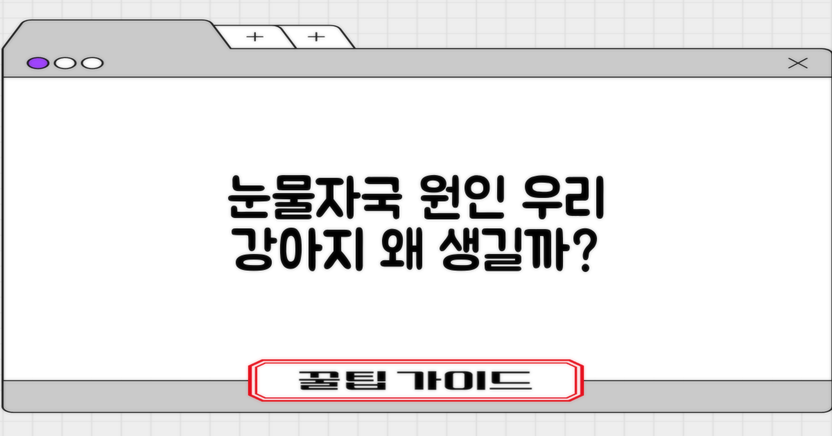 우리 강아지 눈물자국, 왜 생길까요?