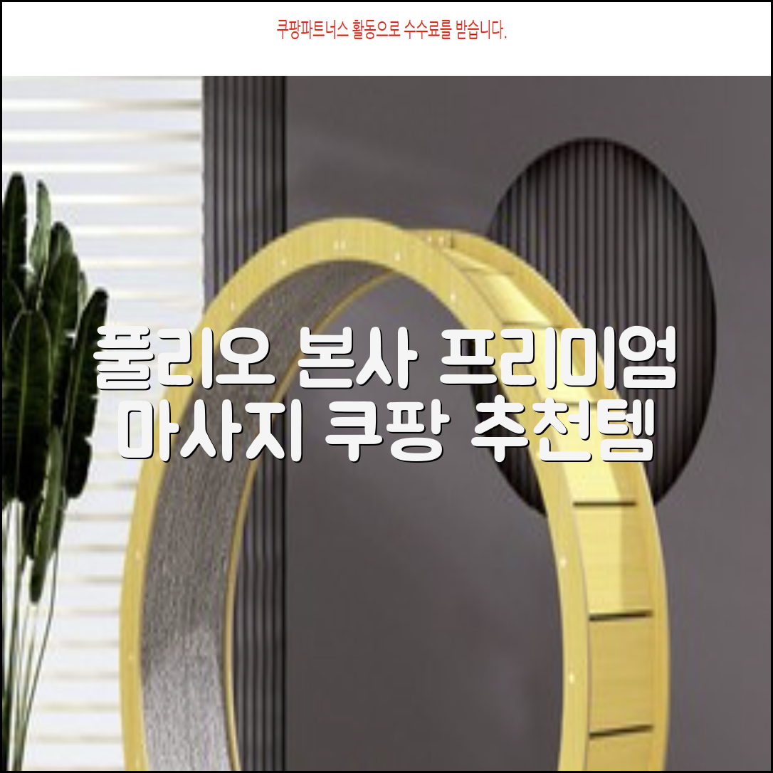 [풀리오 본사] 풀리오 프리미엄 마사지 매트 추천 리뷰