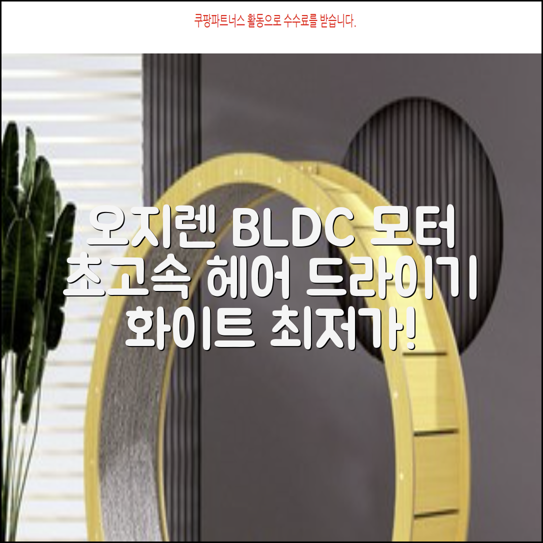 오지렌 초고속 고출력 초경량 음이온 BLDC 모터 헤어 드라이기, 화이트 추천 리뷰