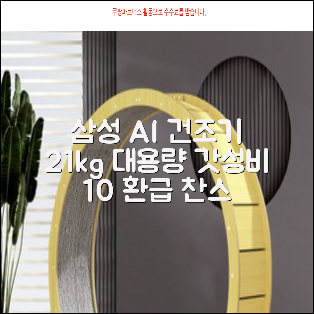 [10% 환급가전] 삼성전자 AI 건조기 DV21DG8200BW 21kg 방문설치, 화이트 추천 리뷰