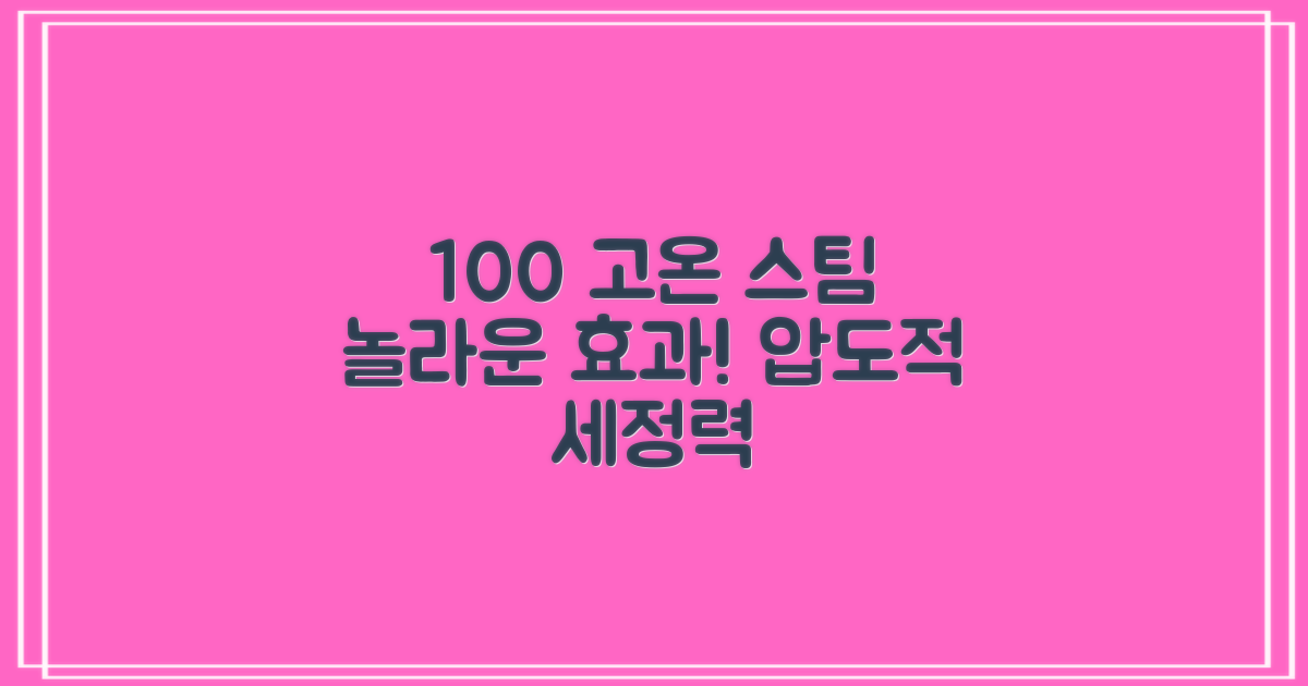 100℃ 고온 스팀 효과