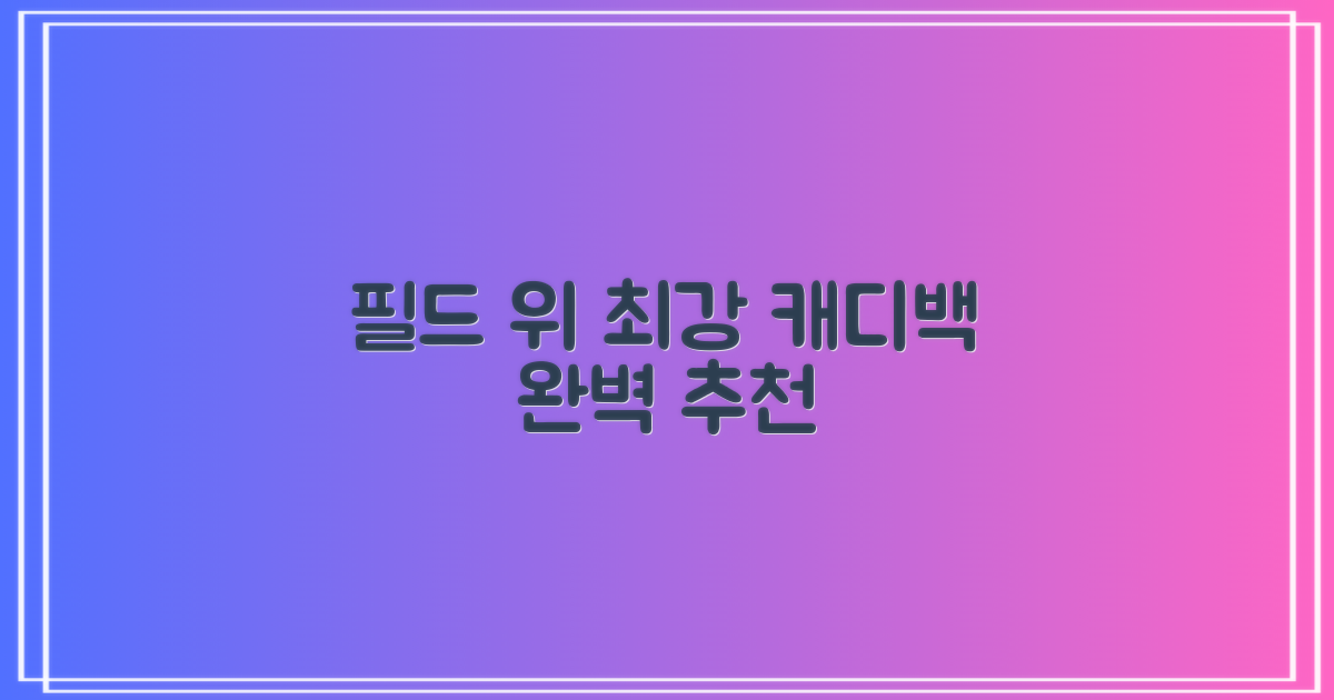 필드 위 편리함, 캐디백 추천
