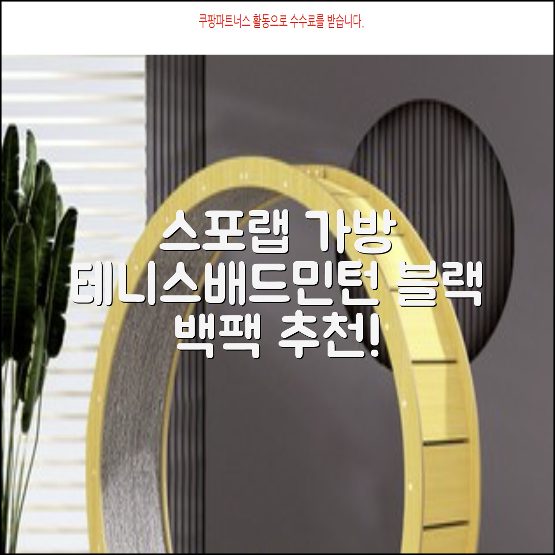 스포랩 테니스 가방 배드민턴 백팩, 블랙, 1개 추천 리뷰