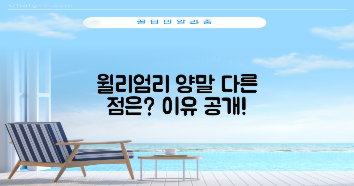윌리엄리 양말, 뭐가 다를까요?