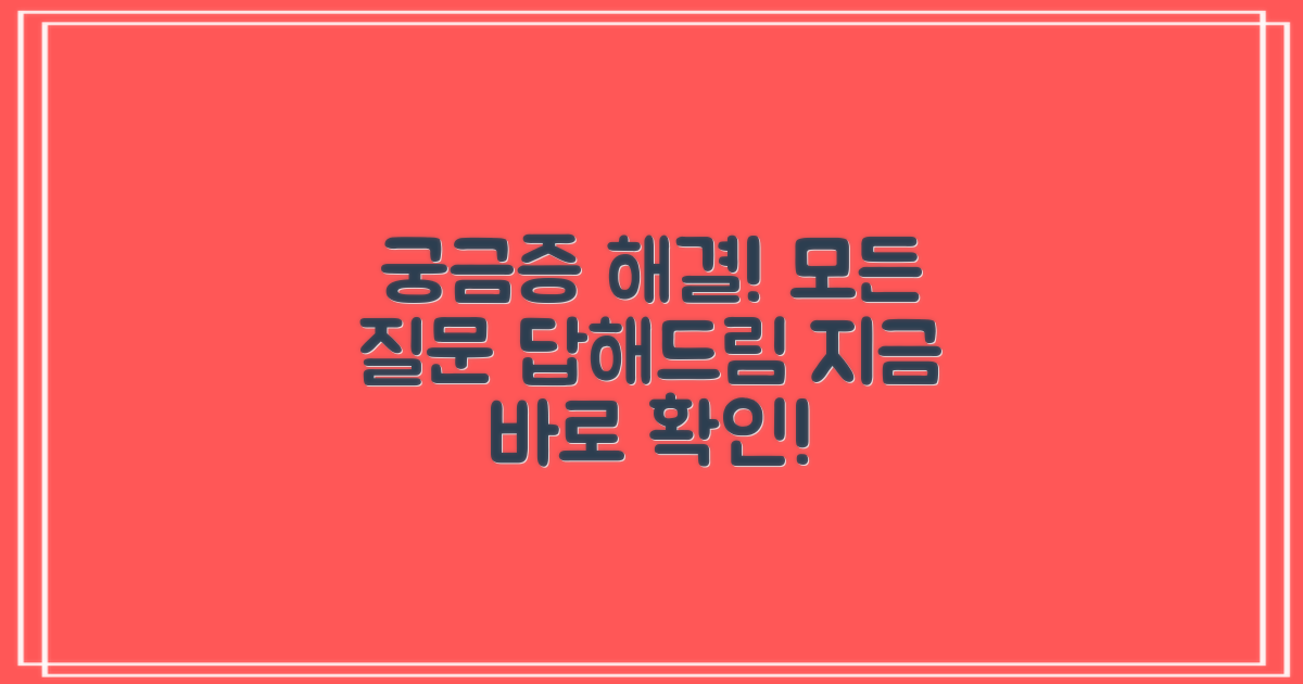 자주 묻는 질문