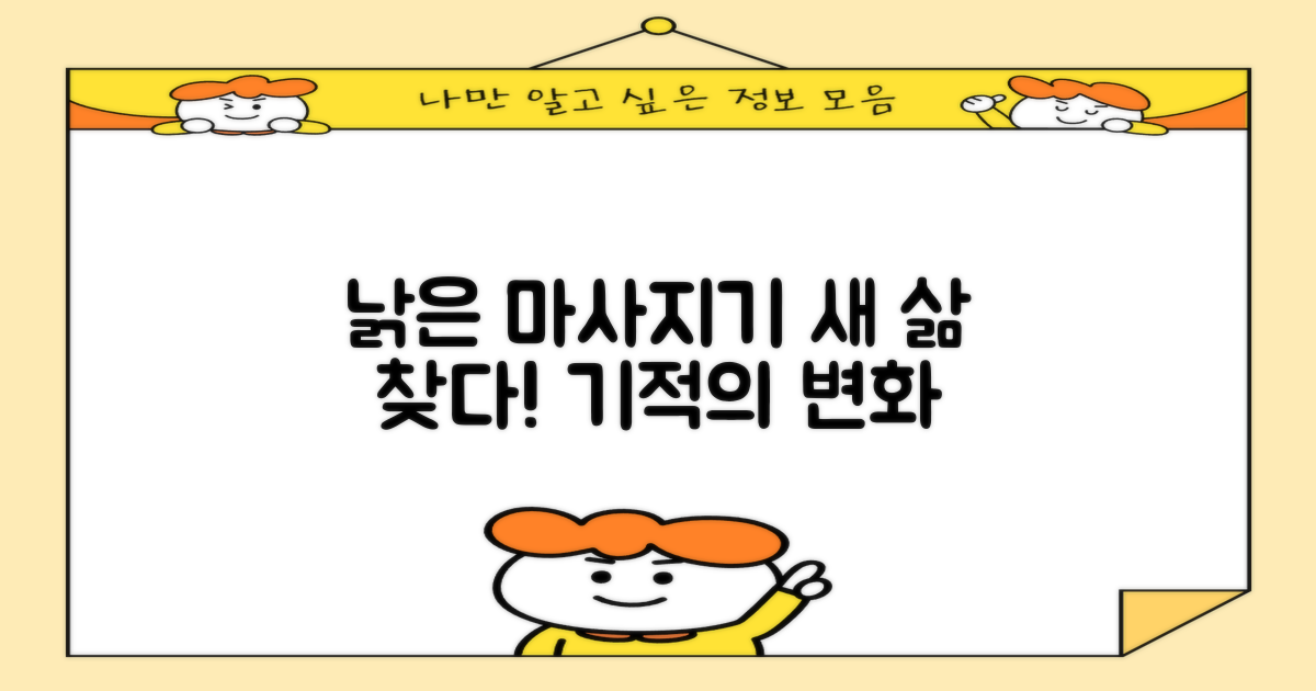 낡은 마사지기, 새 삶
