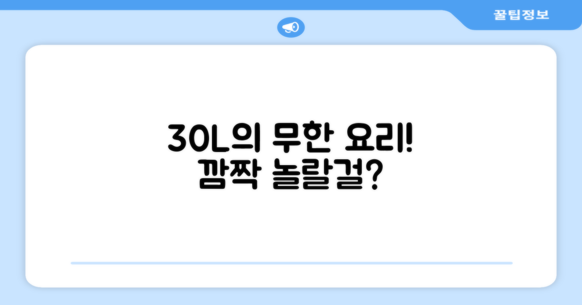 30L의 놀라운 요리 가능성