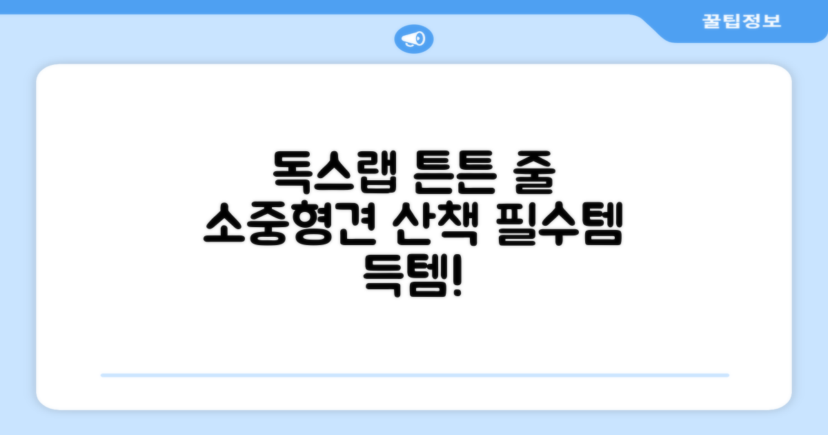 독스랩 1.5m 2m 3m 5m 스트롱 로프 소형견 중형견 대형견 줄 강아지 리드줄 산책줄, 블랙, 1개 추천 리뷰
